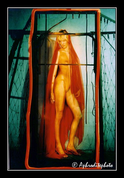 05 L apparition voilée 1